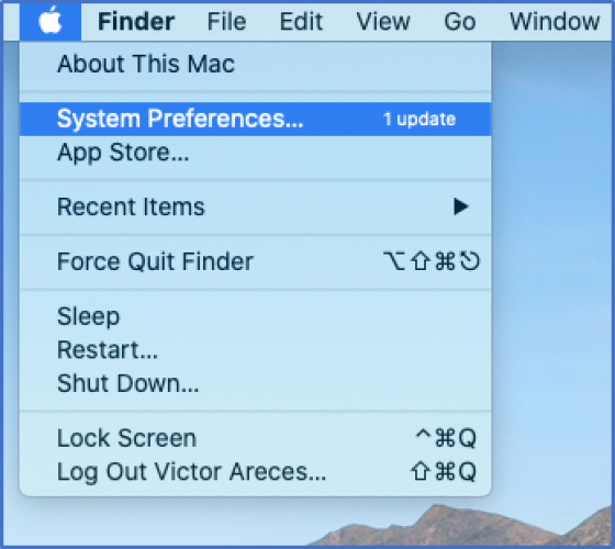 Mac system preferences